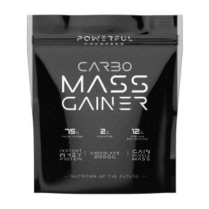 Powerful Progress Carbo Mass Gainer 2 kg blueberry cheesecake
